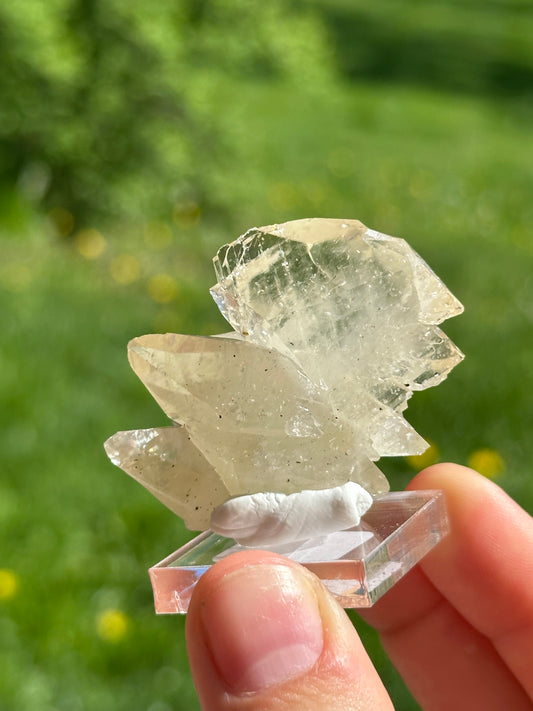 Elmwood calcite