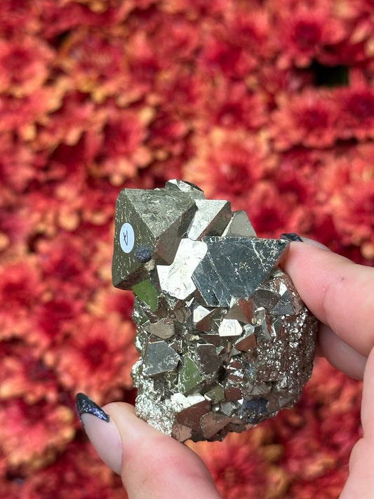 Octahedron Pyrite