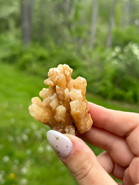 Coral Calcite