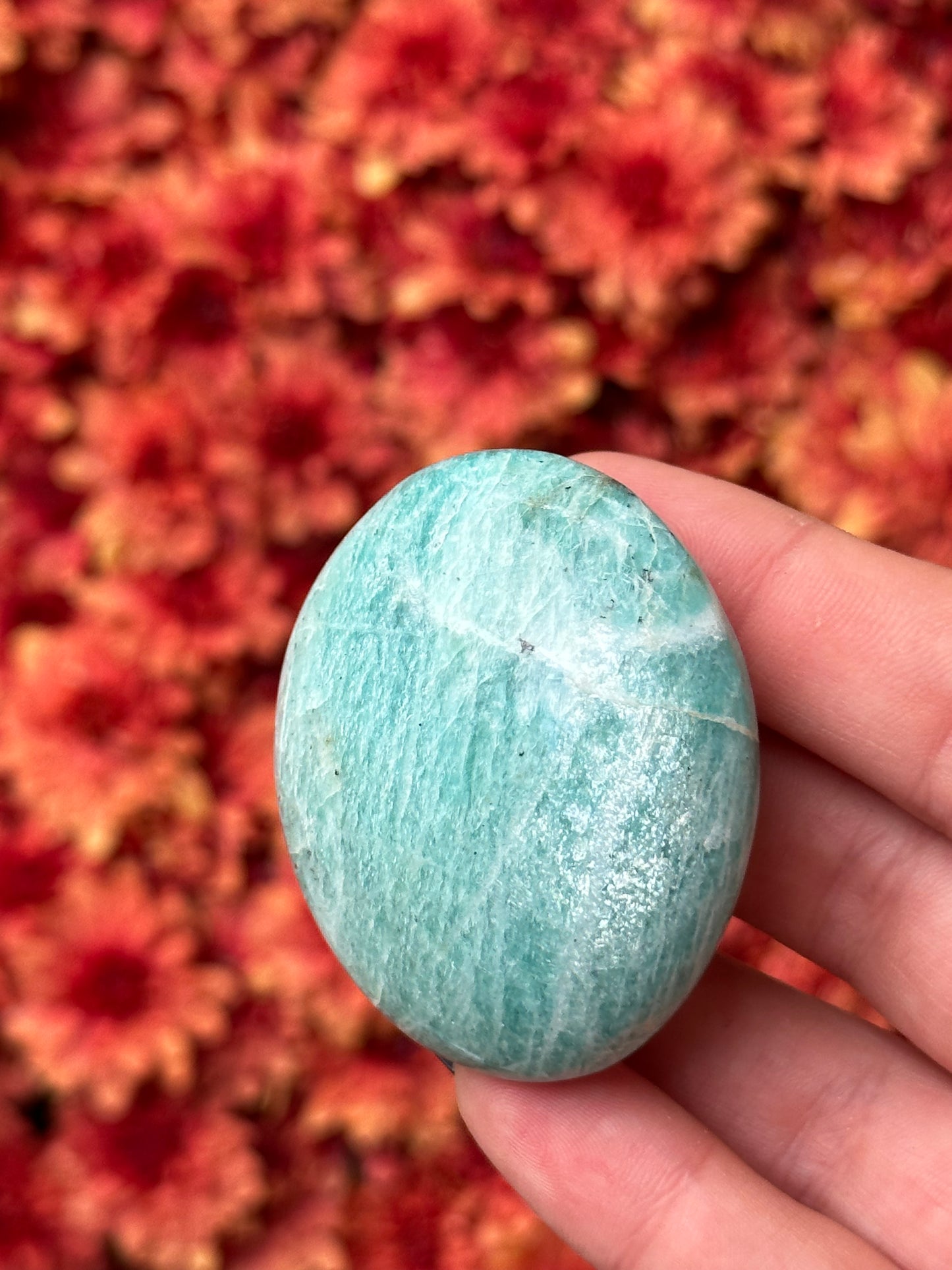 Amazonite Palmstone