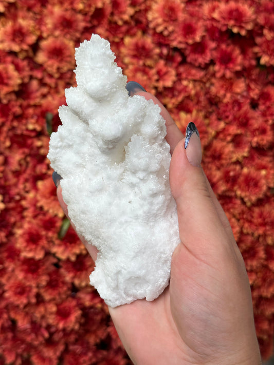 White Aragonite