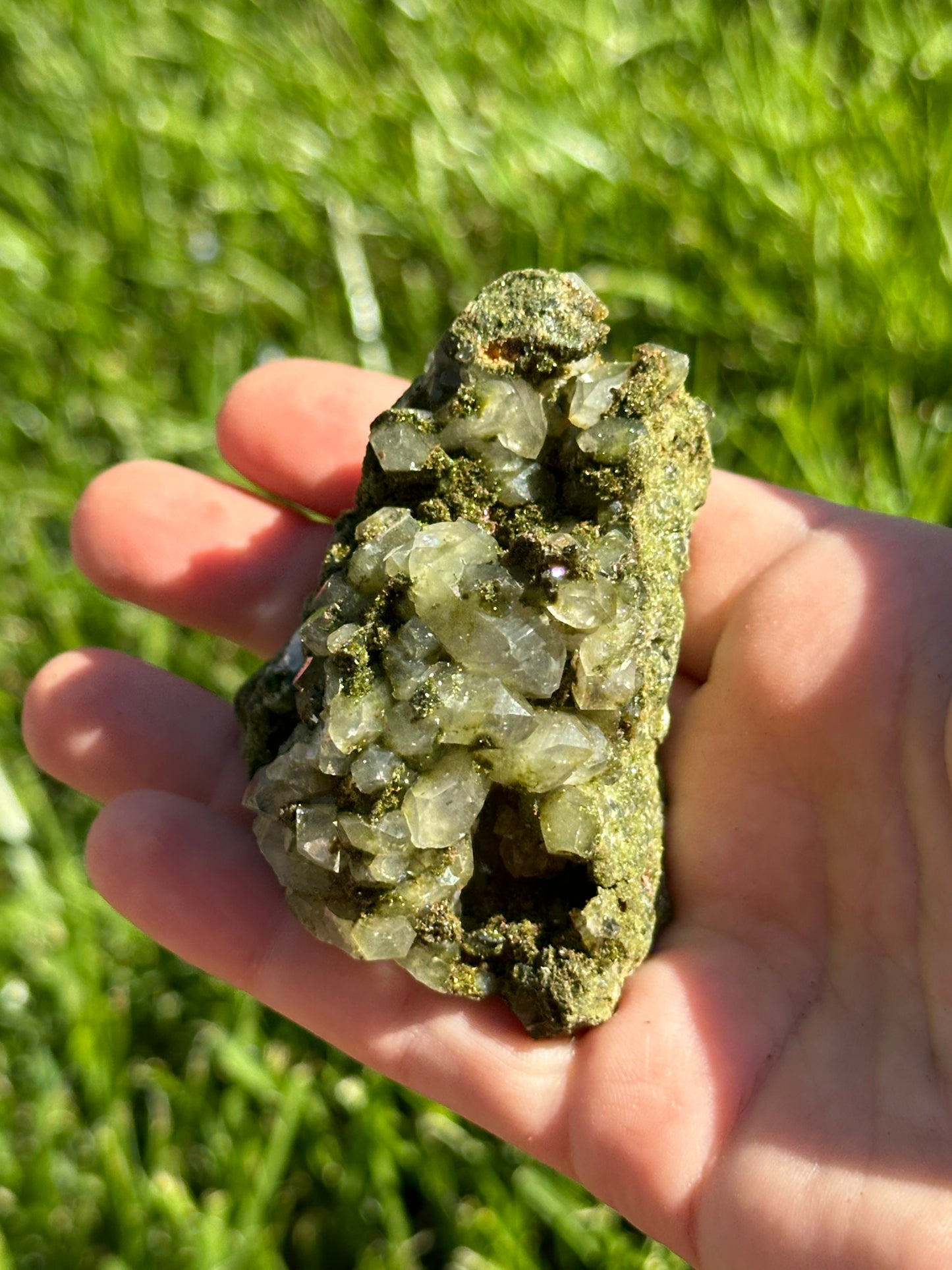 Forest epidote