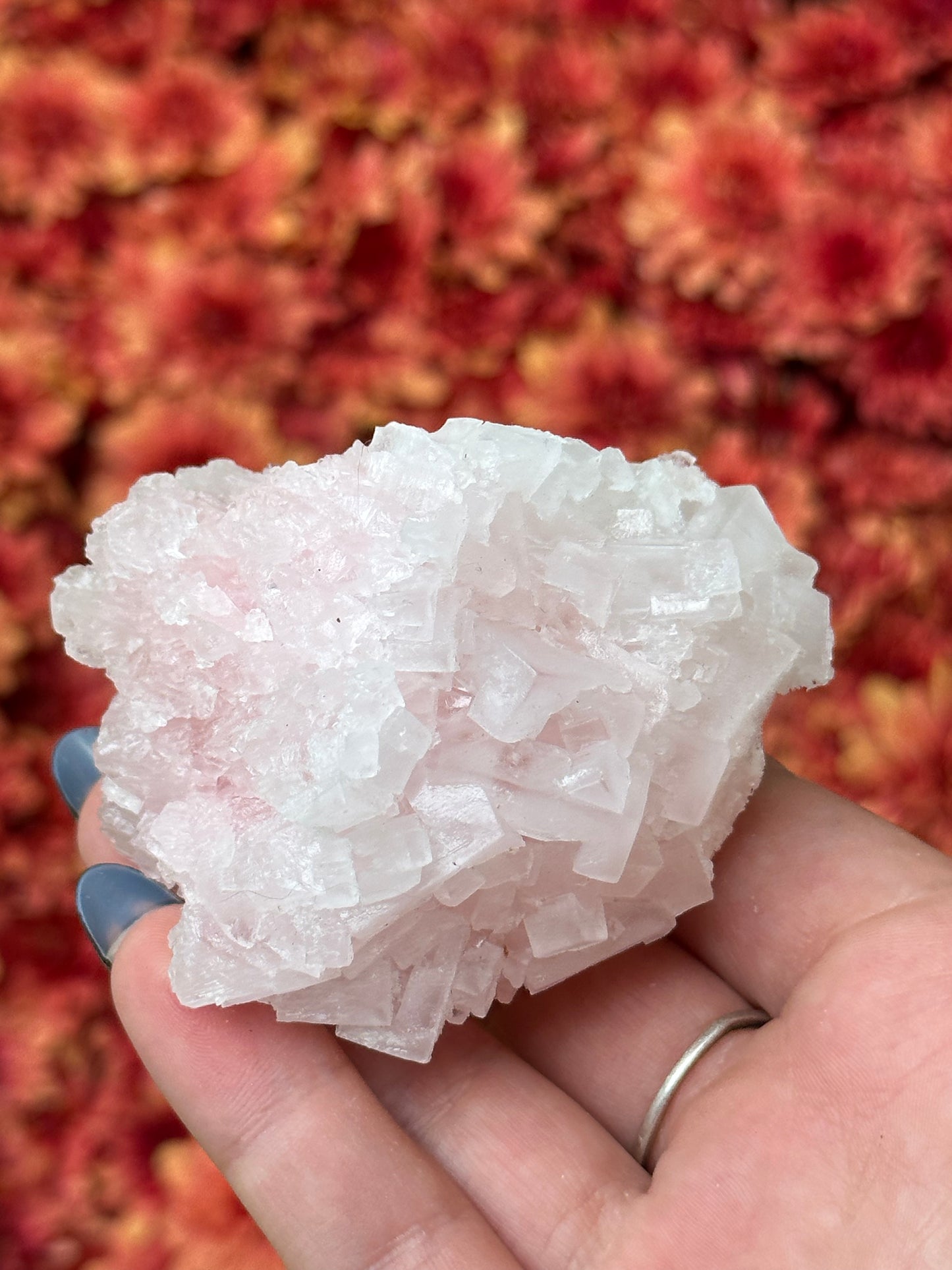Pink Halite