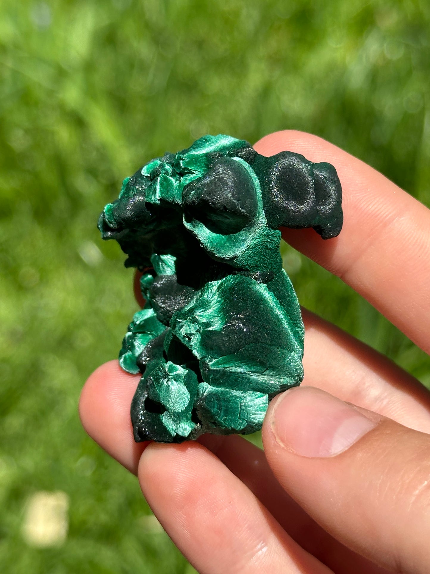 Velvet malachite