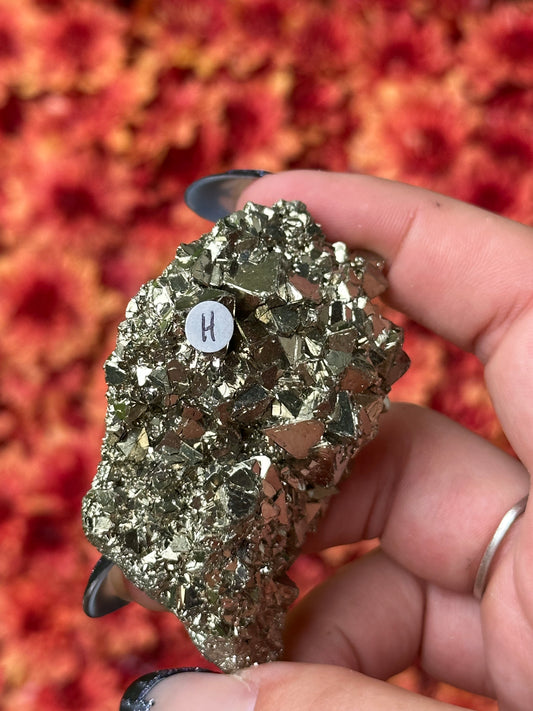 Octahedron Pyrite