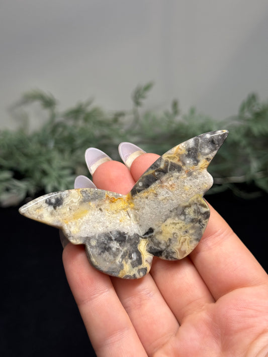 Crazy lace agate butterfly