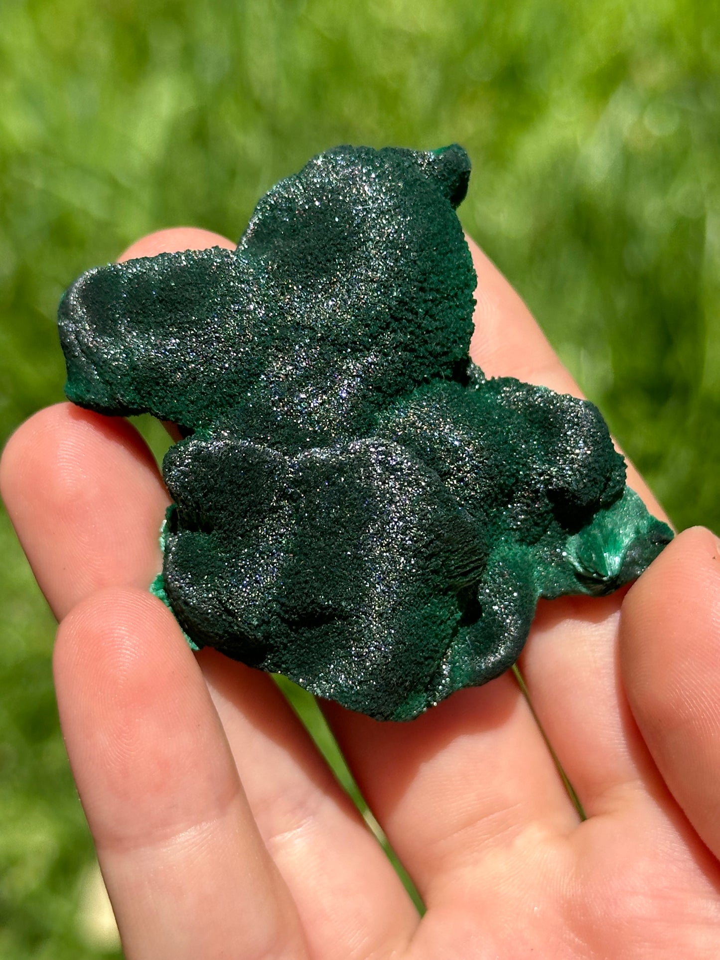 Velvet malachite