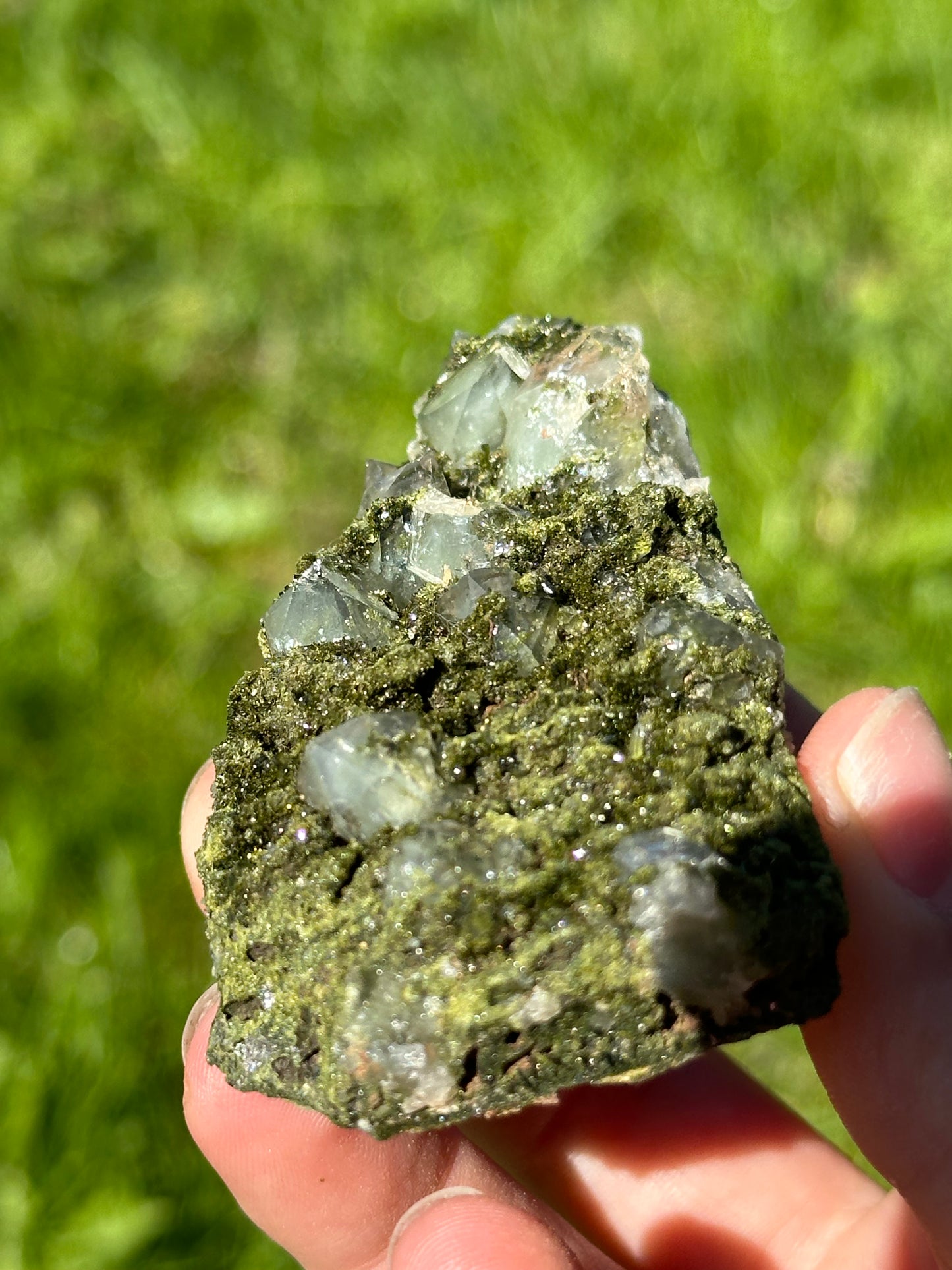 Forest epidote