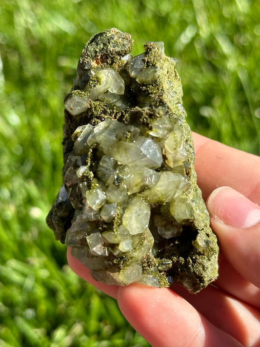 Forest epidote