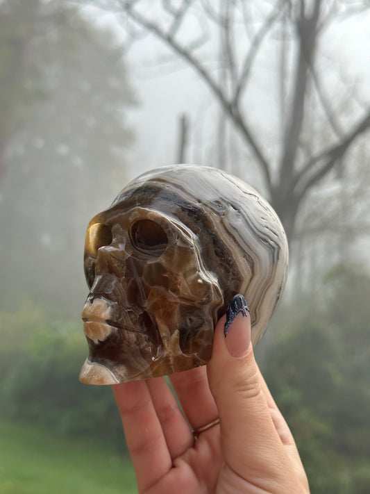 Chocolate calcite skull