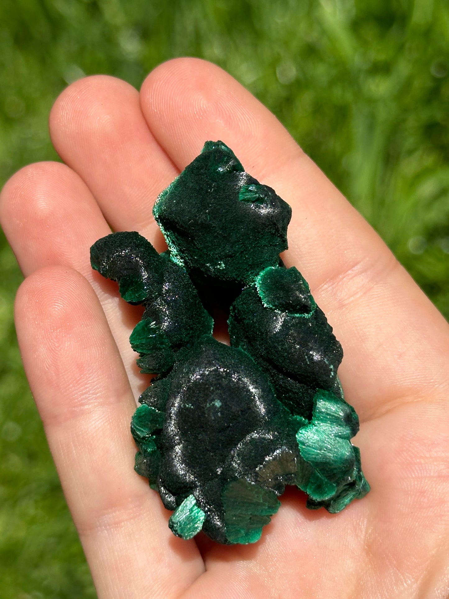 Velvet malachite