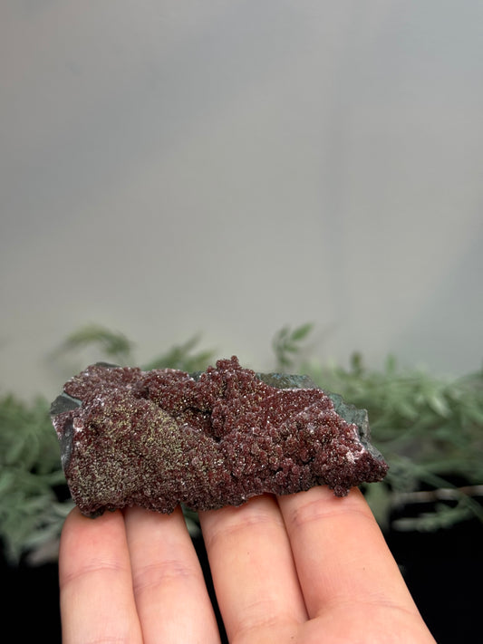 Red amethyst - Uruguay