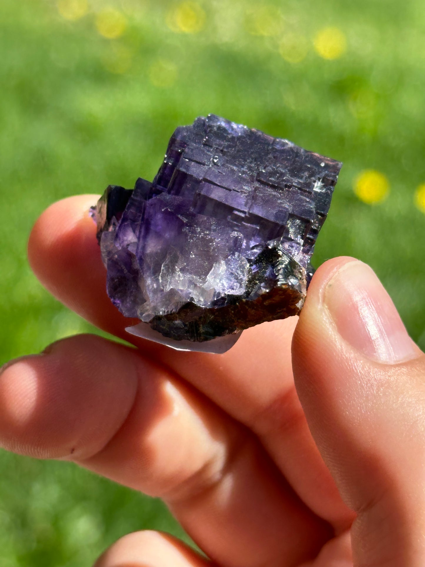 Elmwood fluorite