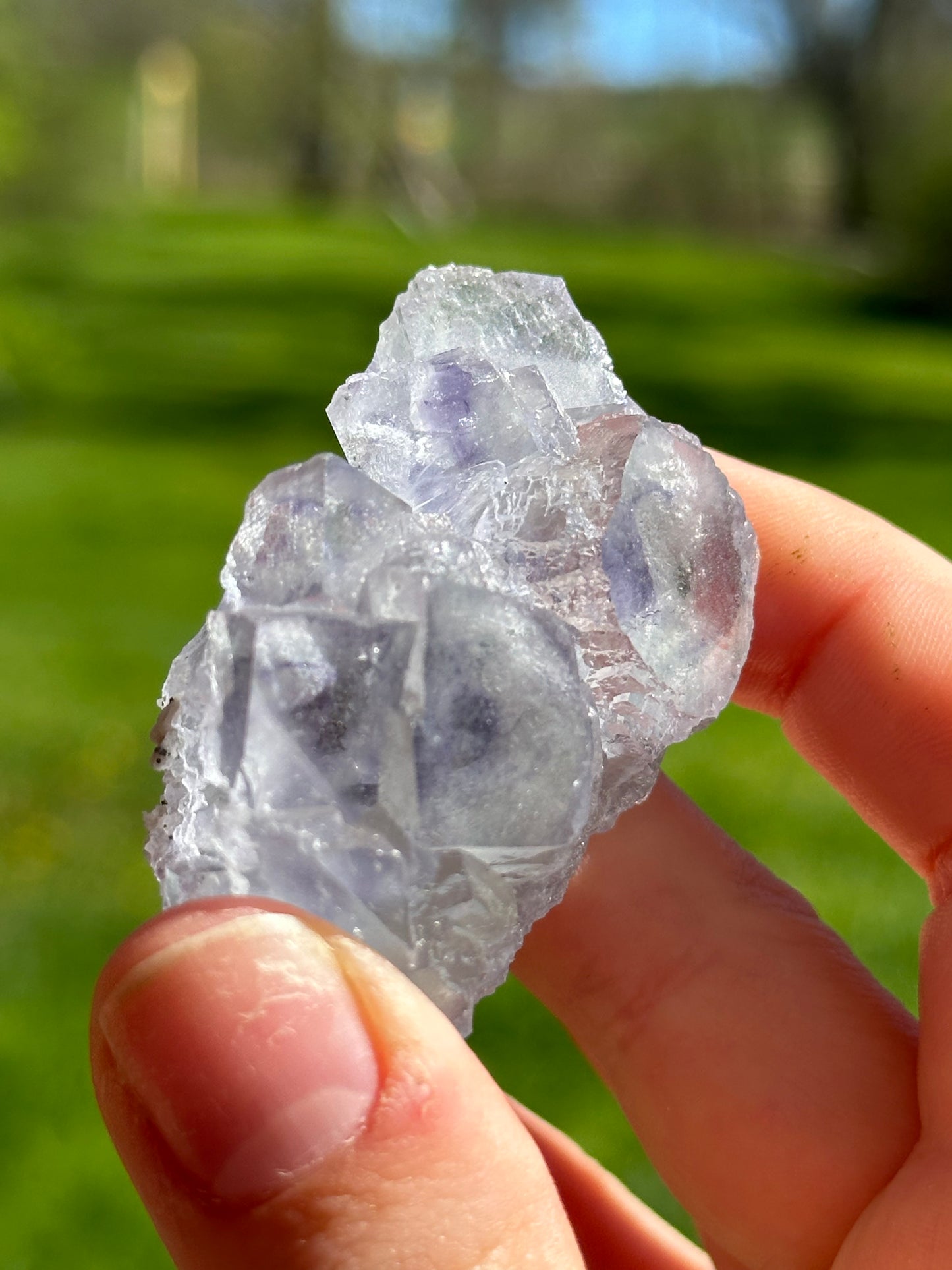 YGX fluorite with pyrite