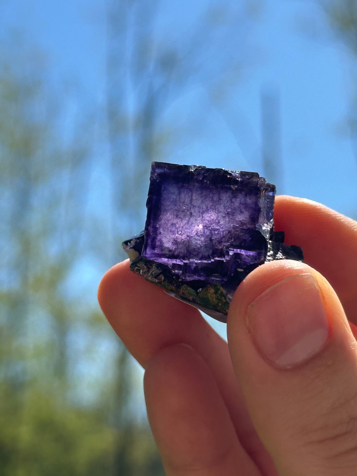 Elmwood fluorite