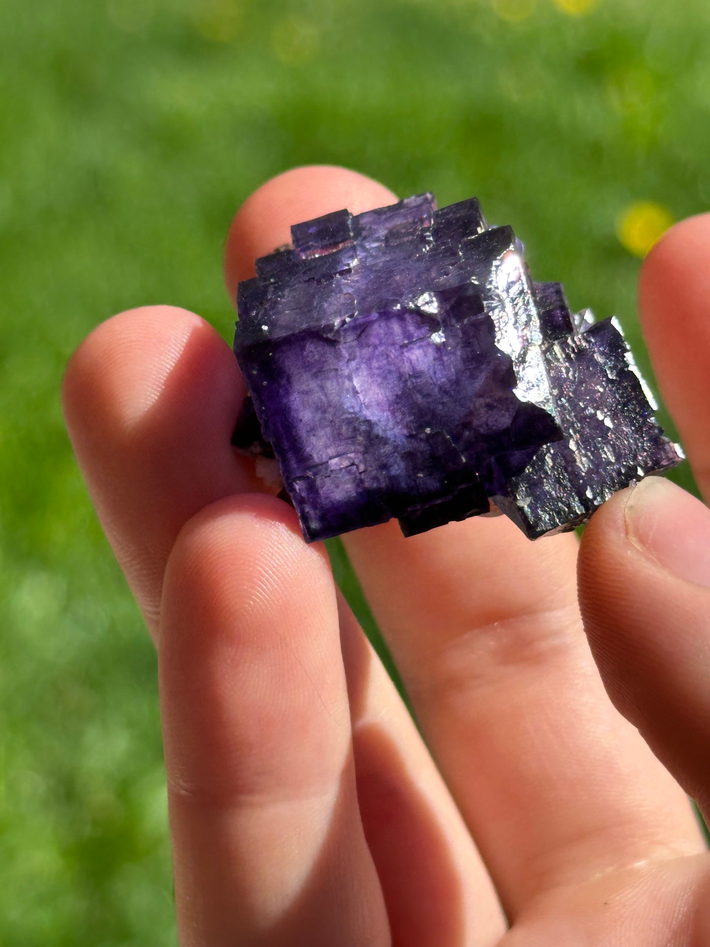 Elmwood fluorite