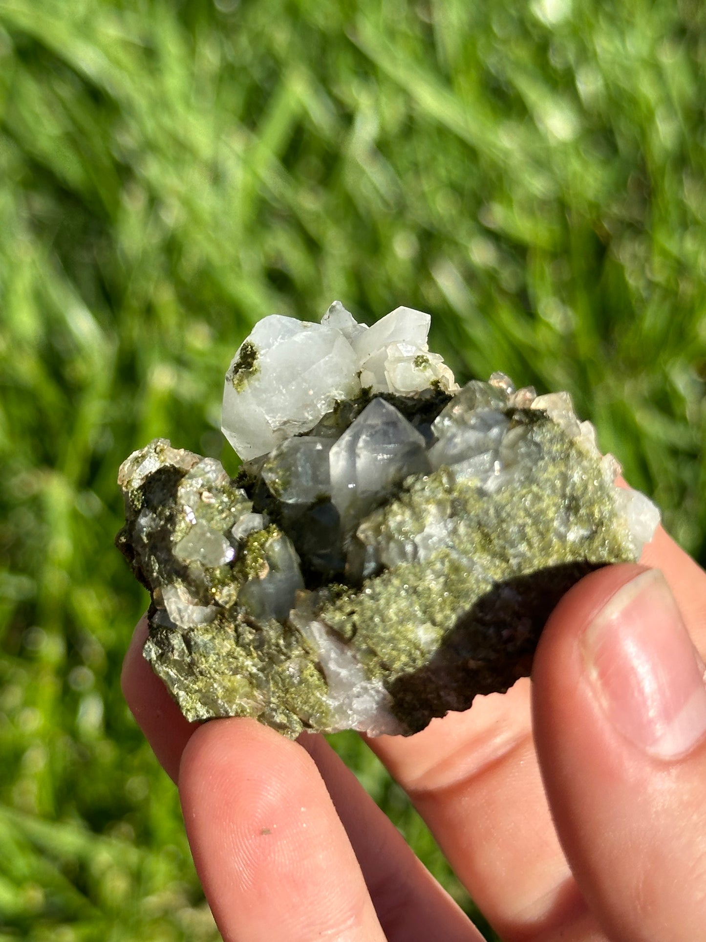 Forest epidote