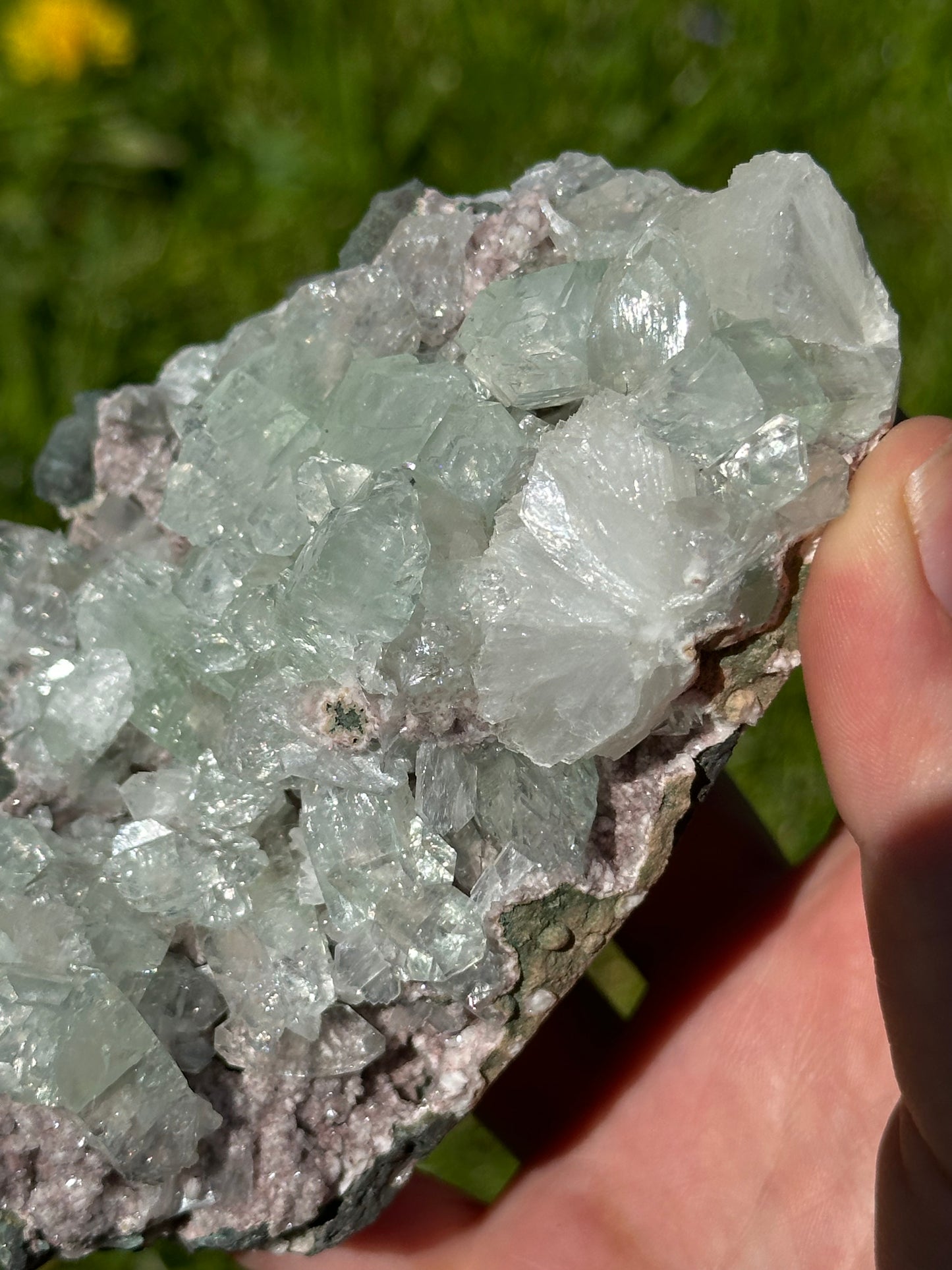 Green apophyllite with pink chalcedony | India