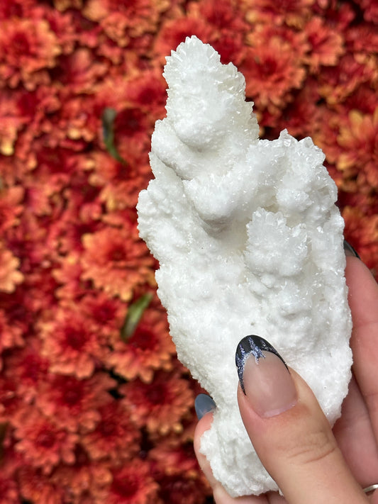 White Aragonite