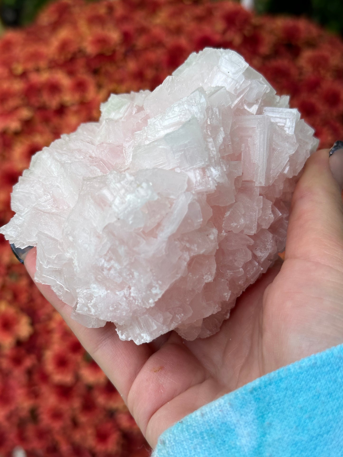 Pink Halite