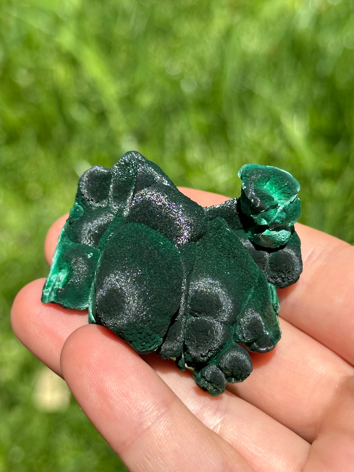 Velvet malachite