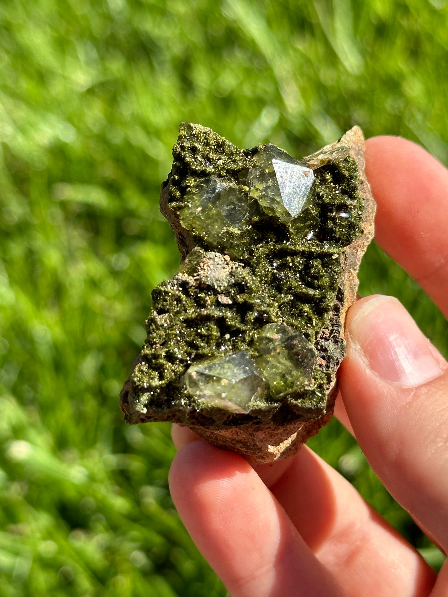 Forest epidote