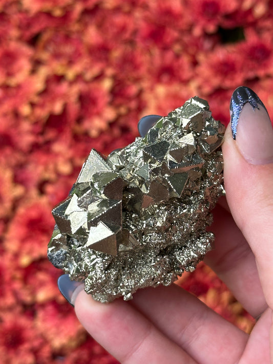 Octahedron Pyrite