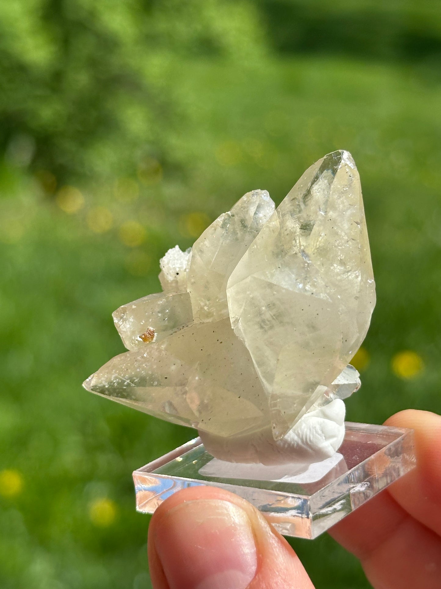 Elmwood calcite
