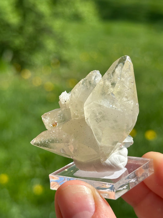 Elmwood calcite