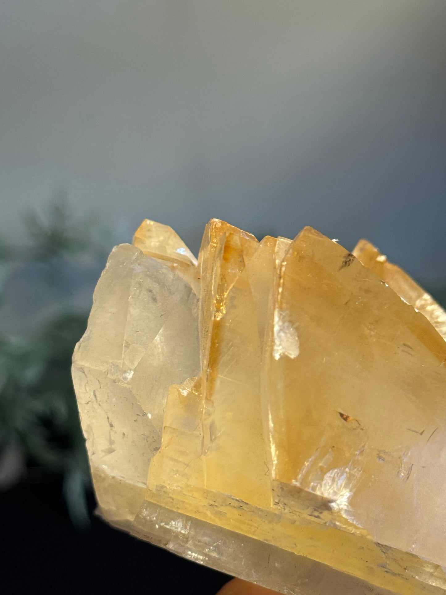 Elmwood calcite
