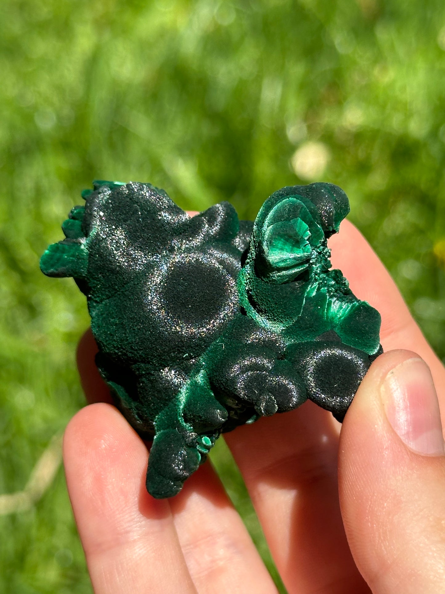 Velvet malachite