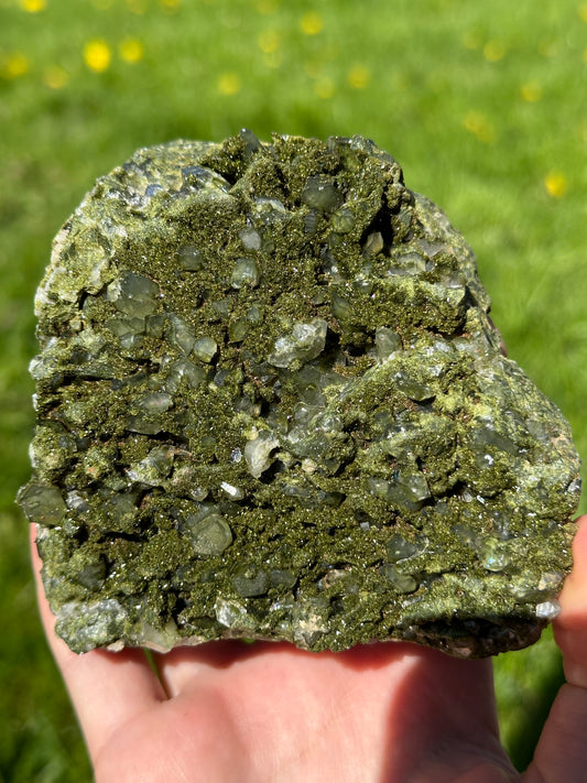 Forest epidote