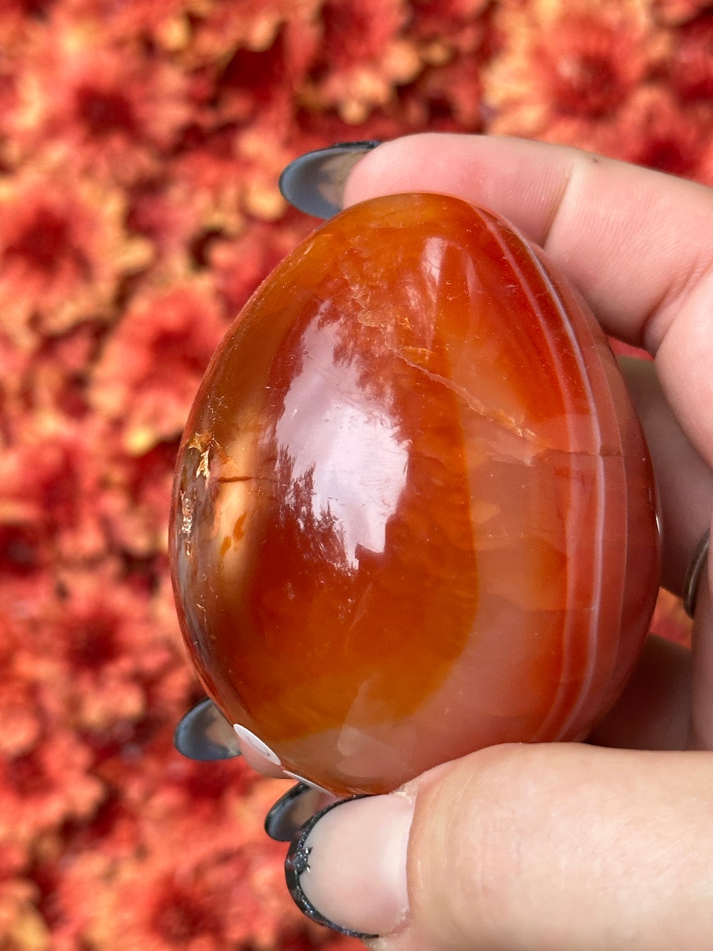 Carnelian Egg