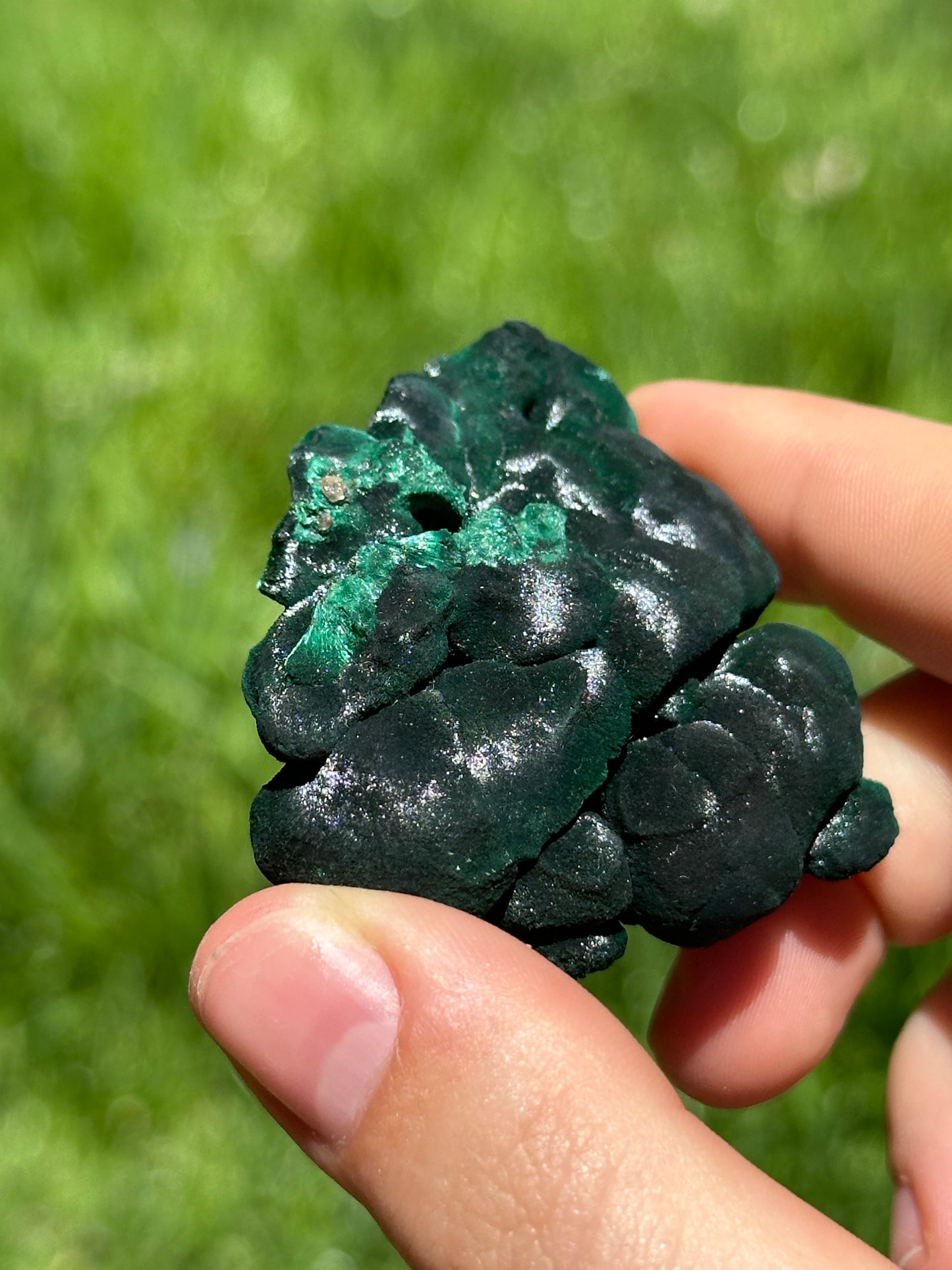 Velvet malachite