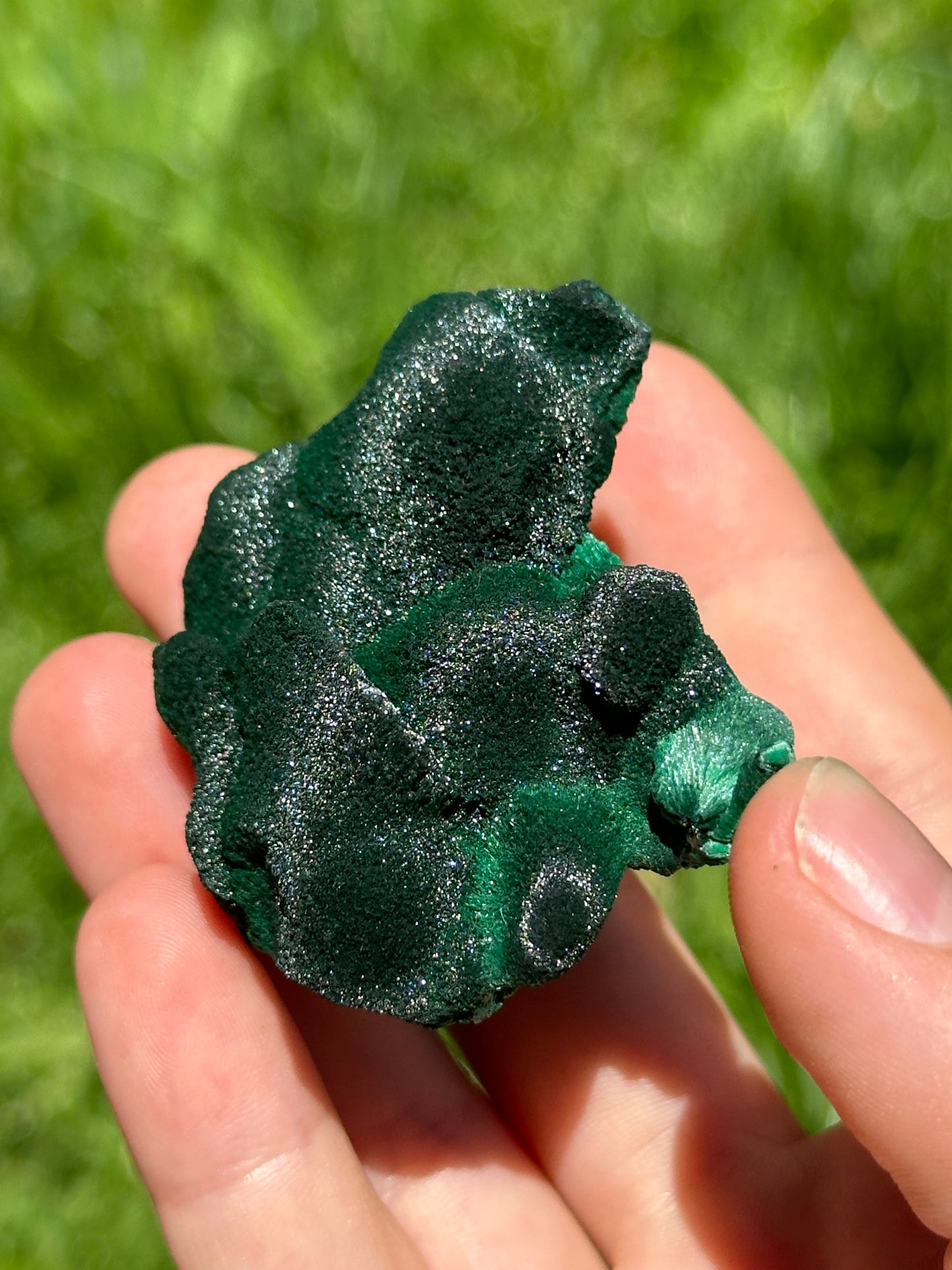 Velvet malachite