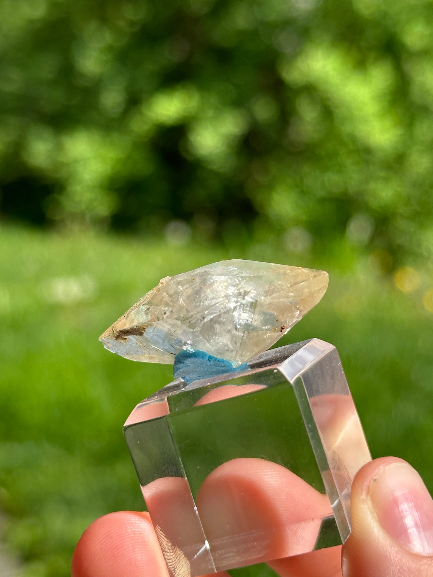 Gemmy Elmwood Calcite