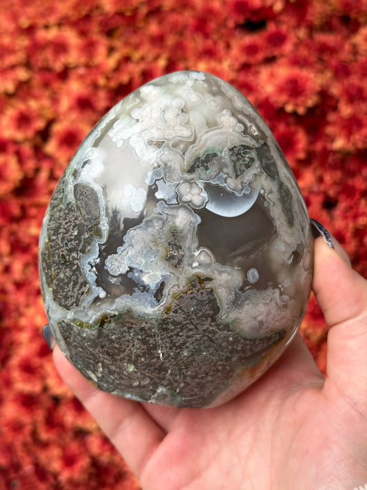 Black Flower Agate Freeform