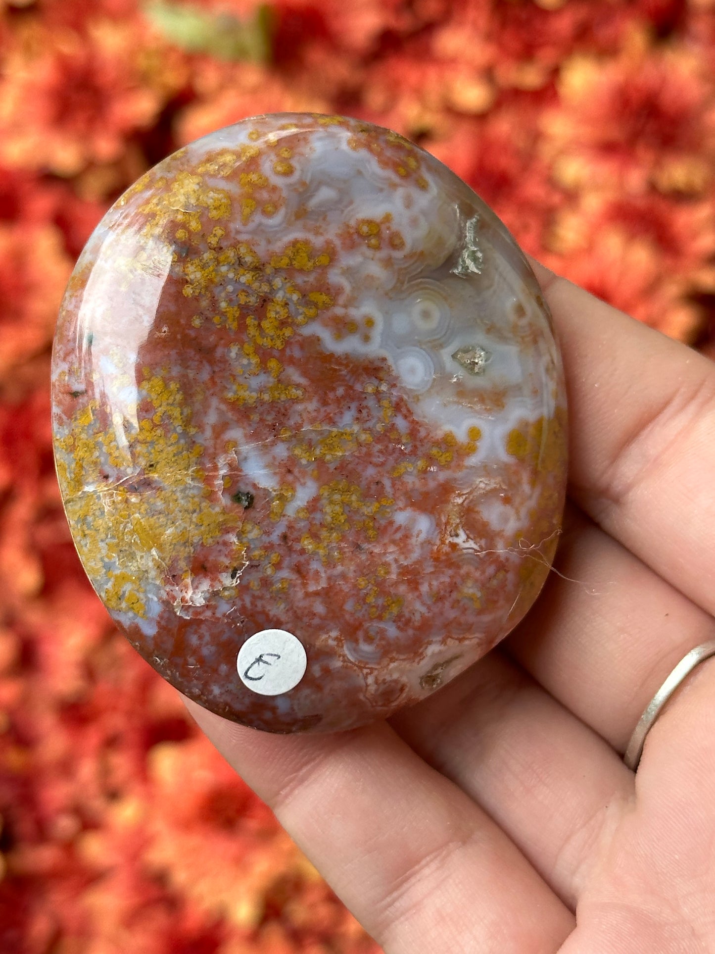 Ocean Jasper Palmstone- 8th Vein