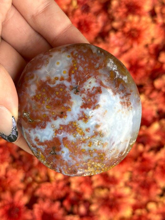 Ocean Jasper Palmstone- 8th Vein