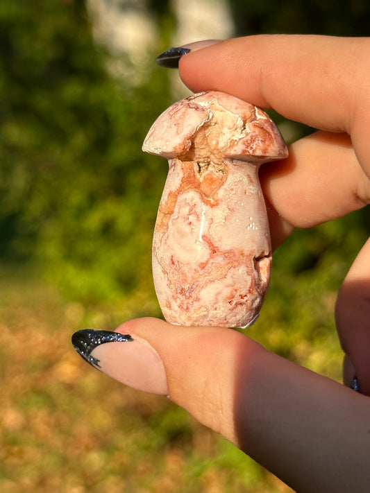 Pink Crazy Lace Agate Mushroom