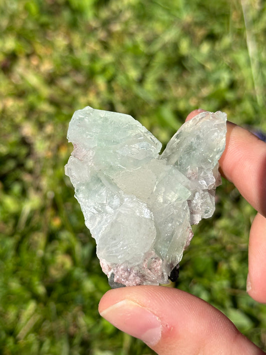 Green apophyllite with pink chalcedony | India