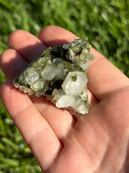 Forest epidote