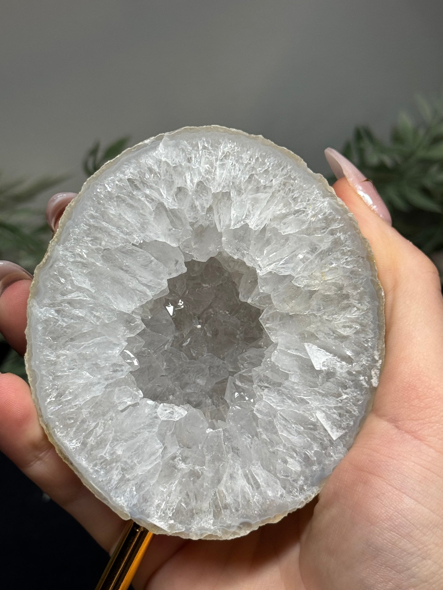Agate geode half on gold stand