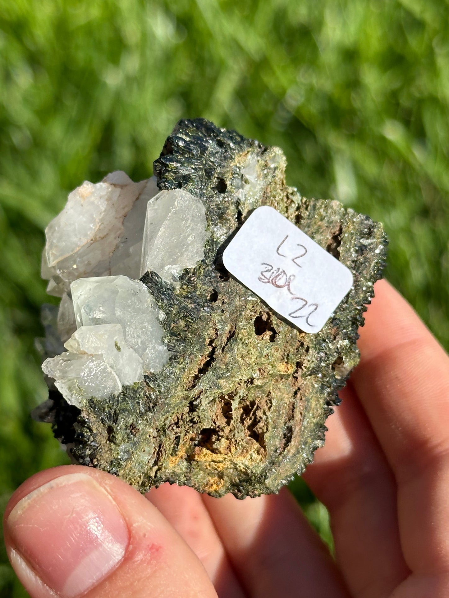Dark epidote and quartz