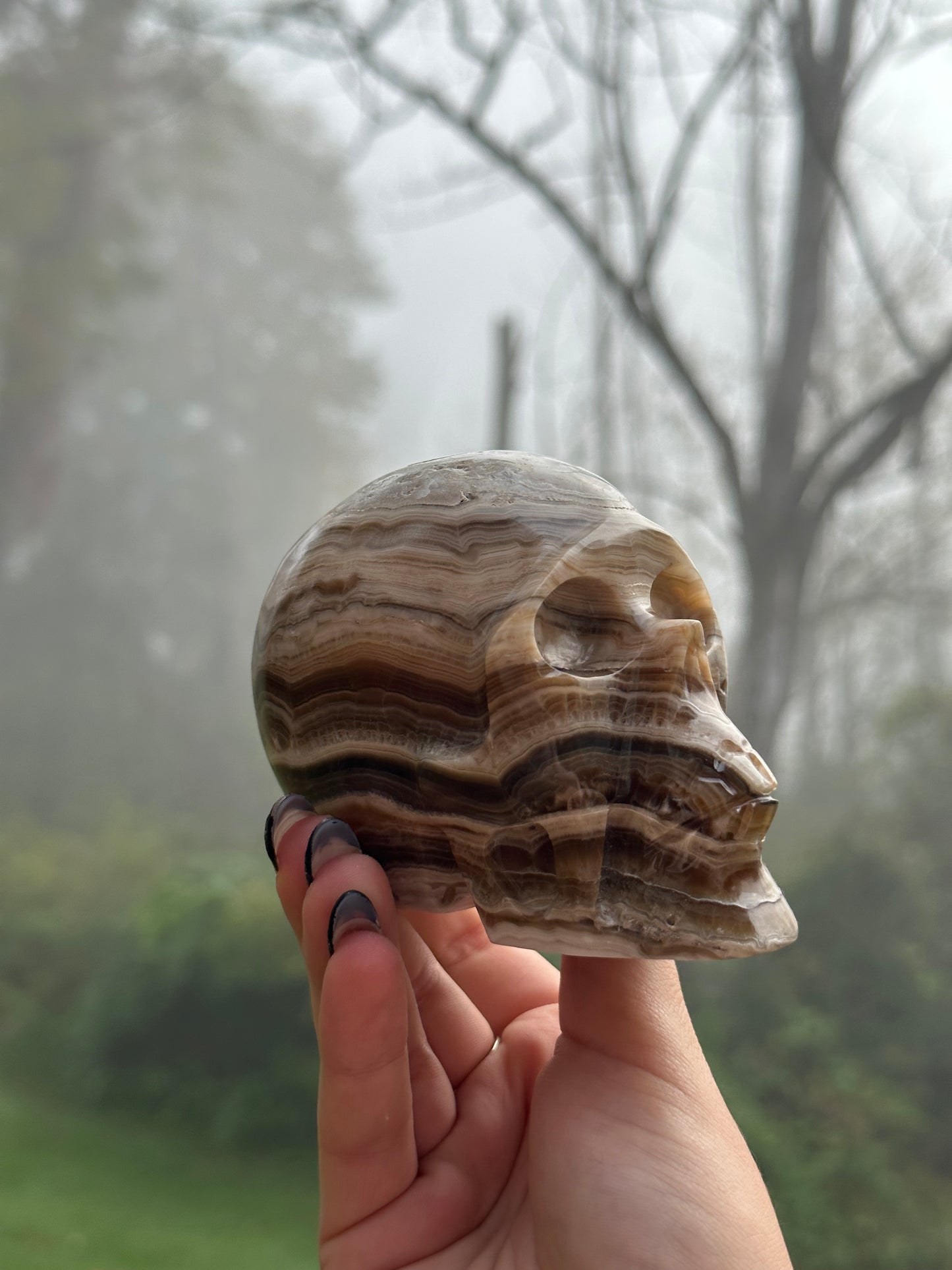 Chocolate calcite skull