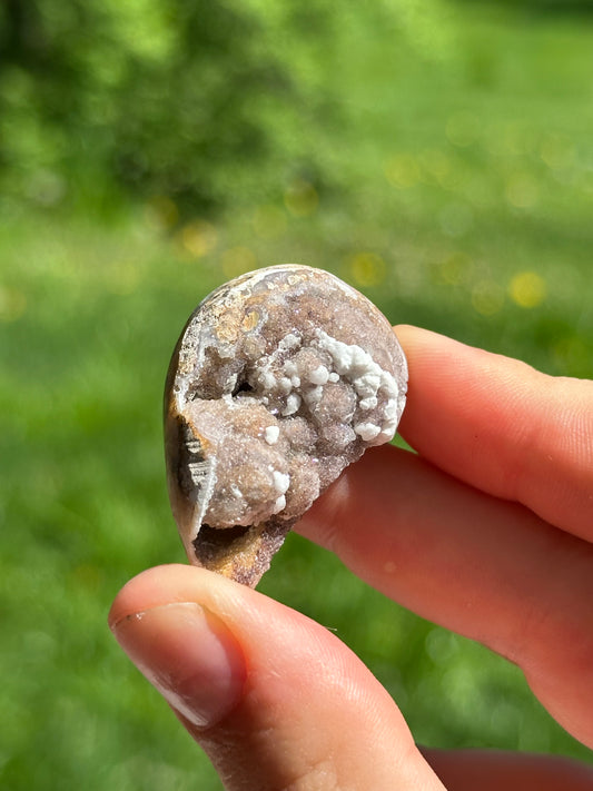 Crystallized shell | India