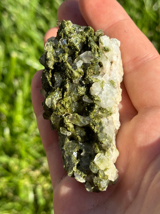 Forest Epidote
