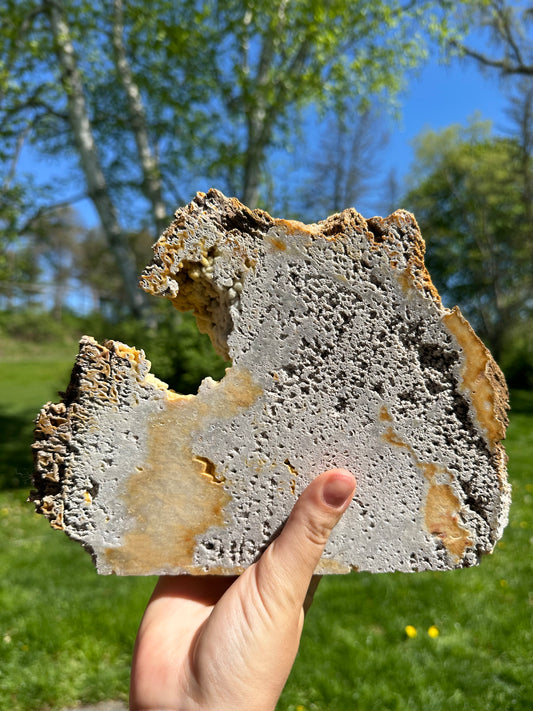 Agatized sparkly coral