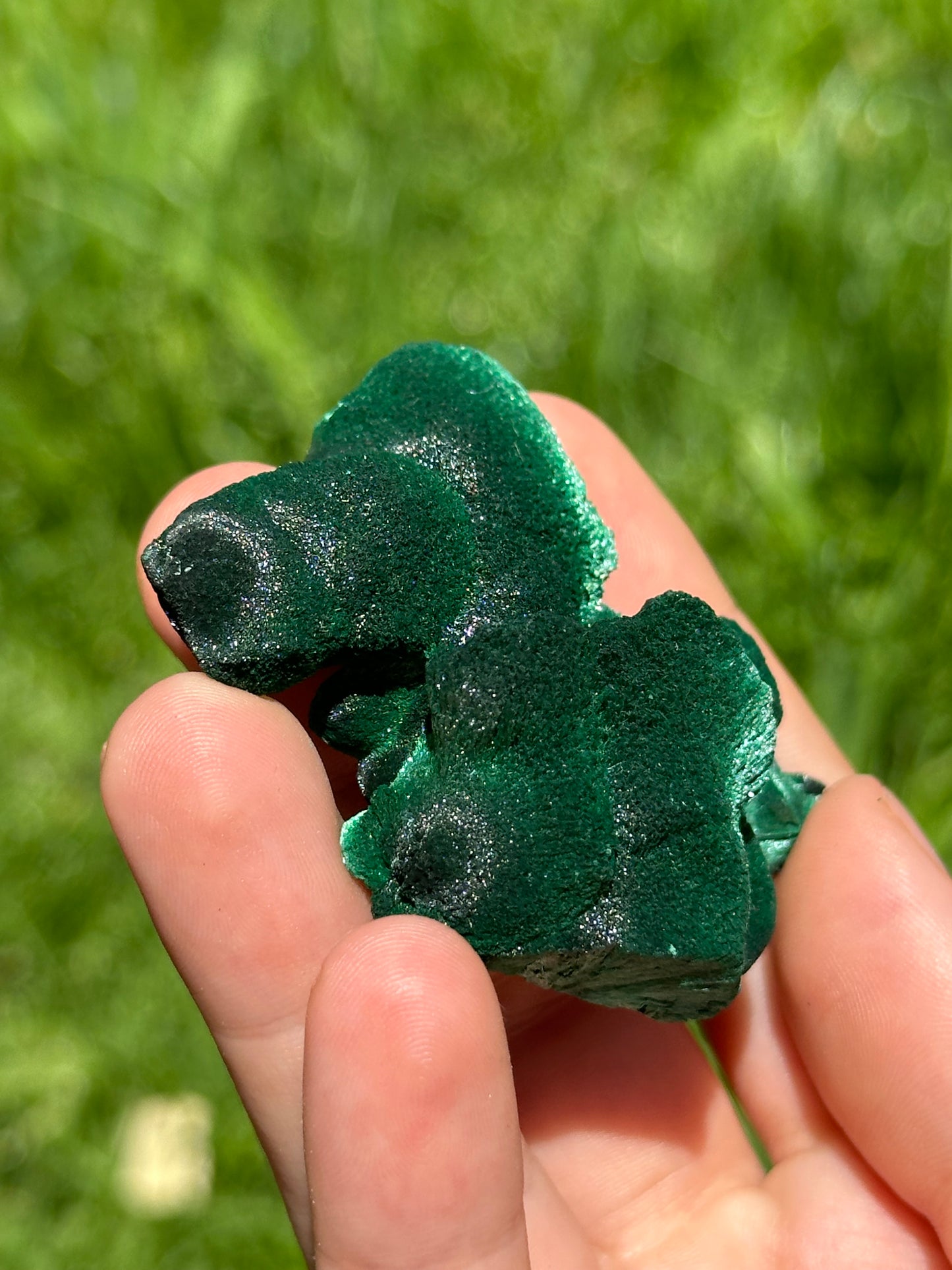 Velvet malachite