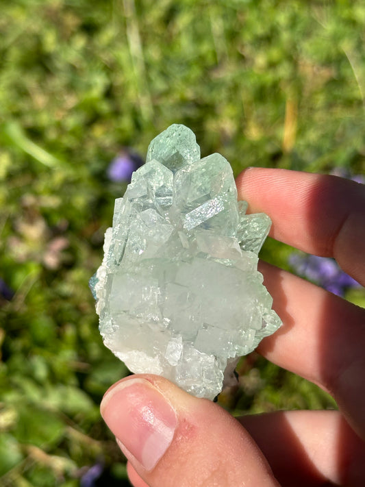 Green apophyllite | India